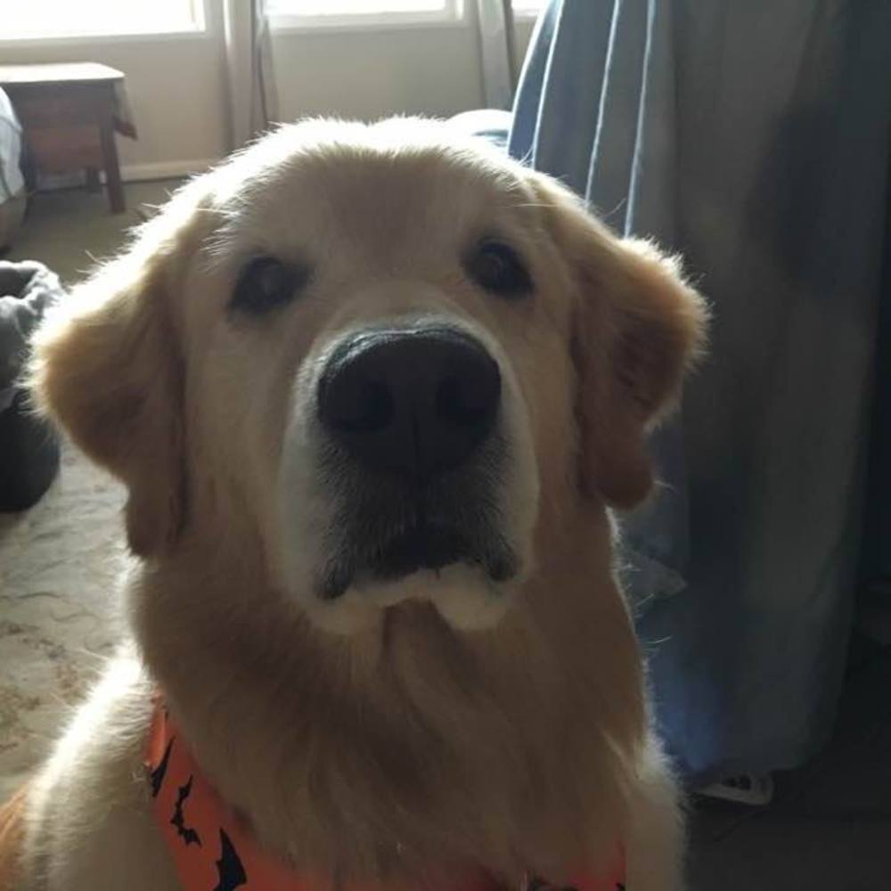 Meet your Posher, Cynda